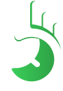 BioWeb logo